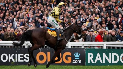 2019 cheltenham festival results|Cheltenham Festival 2019: Gold Cup tips, coverage, results .